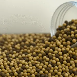 Witte Peper Heel – Subtiel pittig & aromatisch